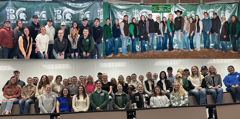 B&B Group Pictures.png